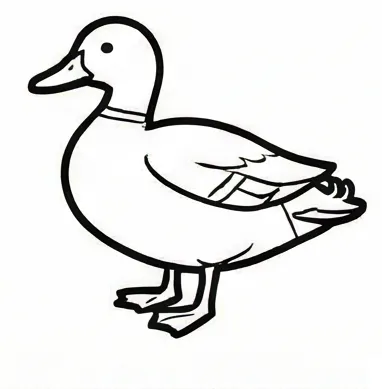 how to draw a duck step by step.webp